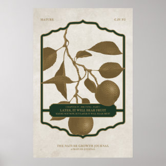 その後、果実V2が生じる ポスター