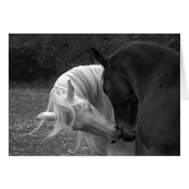 その愛 (正面横)