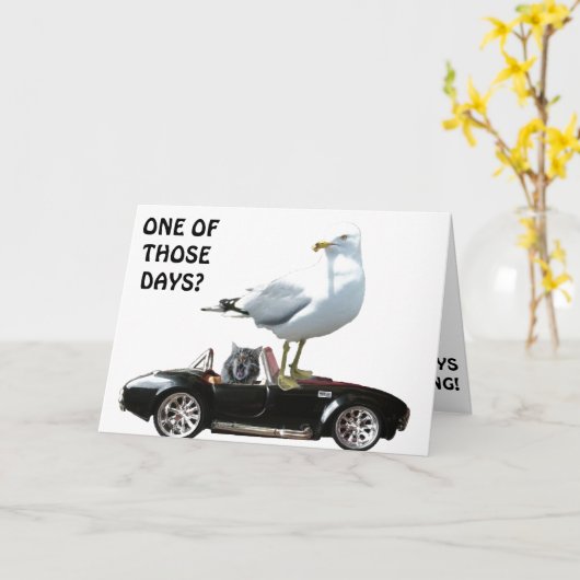 その日の一つ？ カード (黄色い花)