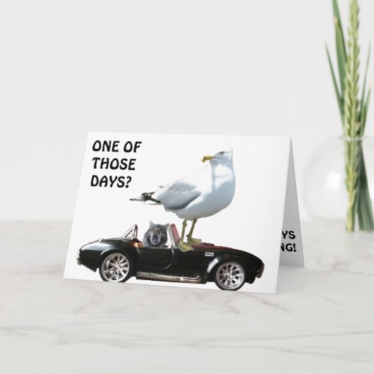 その日の一つ? カード (正面)