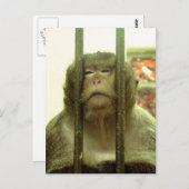 その日の….. ポストカード (正面/裏面)