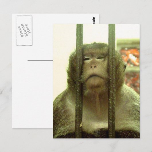 その日の….. ポストカード (正面/裏面)