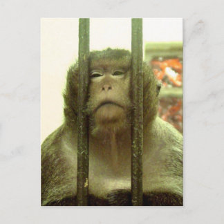 その日の….. ポストカード