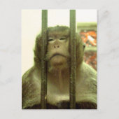 その日の….. ポストカード (正面)