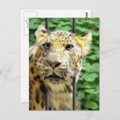 その日は？ ポストカード (正面/裏面)