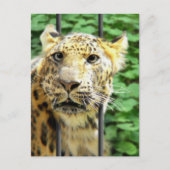 その日は？ ポストカード (正面)