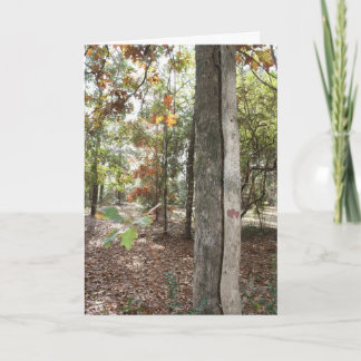 その特別な息子のためのバースデー・カード カード