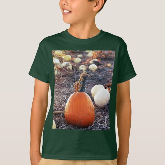 その秋の気配 Tシャツ (正面)