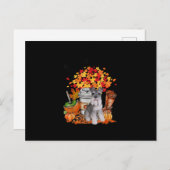 その秋yall schnauzer dogハロウィーン感謝祭 案内ポストカード (正面/裏面)