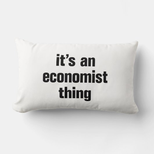 その経済学者 ランバークッション (正面)