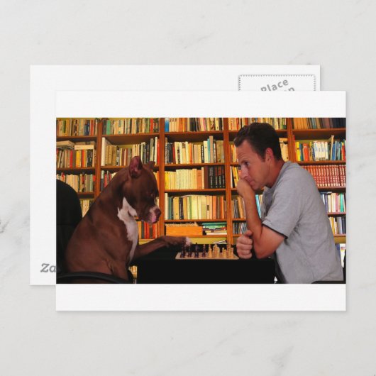 その行動、確かなの？ ポストカード (正面/裏面)