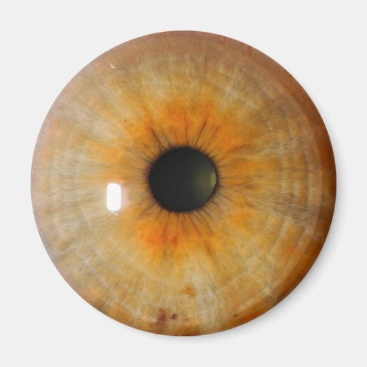 そばかすのあるハシバミ色の目 マグネット (正面)