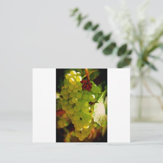 そばかす ポストカード (スタンド正面)