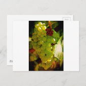 そばかす ポストカード (正面/裏面)