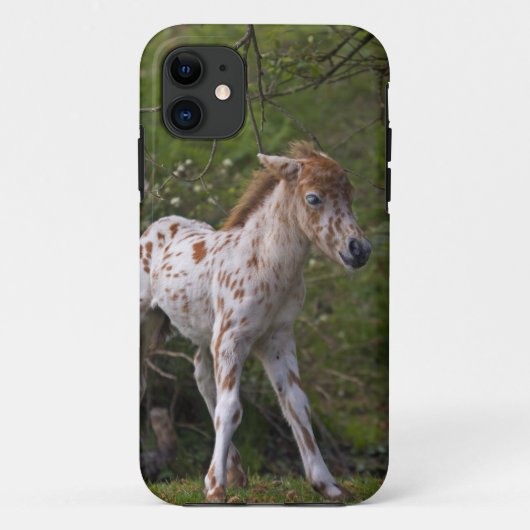 そばかすiPhone 5 カバー (裏面)