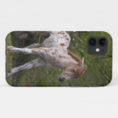そばかすiPhone 5 カバー (裏面(横))