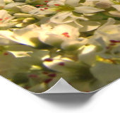 そば畑 ポスター (角)