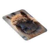 そば マグネット (右側)