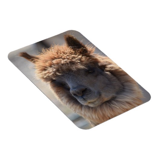 そば マグネット (右側)