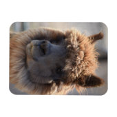 そば マグネット (横)