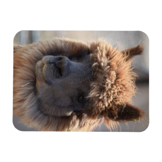 そば マグネット (横)