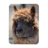 そば マグネット (縦)