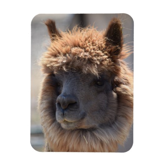 そば マグネット (縦)