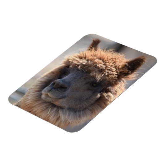 そば マグネット (左側)