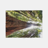 そびえ立つレッドウッズ フリースブランケット (正面(横))