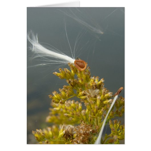 そよ吹そよ (正面)