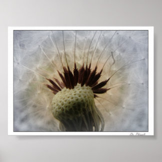 そよ風を吹かせ運て ポスター