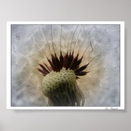 そよ風を吹かせ運て ポスター (正面)