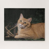 そりとのロキ ジグソーパズル (横)