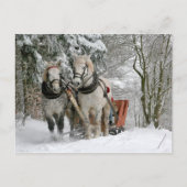 そりの乗り物はがき ポストカード (正面)