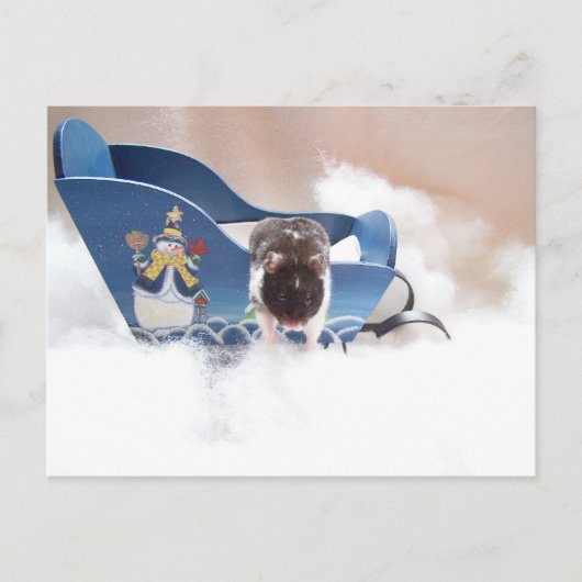 そりを捨てろ！ ポストカード (正面)