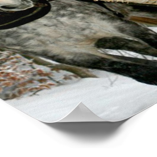 そり乗り ポスター (角)