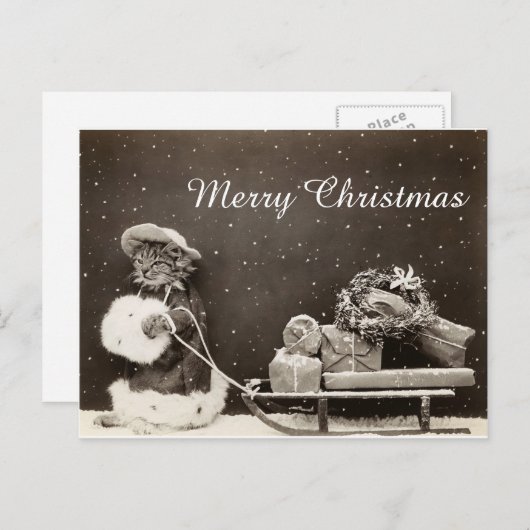 そり付きのヴィンテージクリスマスキャットとリース シーズンポストカード (正面/裏面)