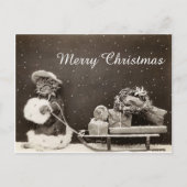 そり付きのヴィンテージクリスマスキャットとリース シーズンポストカード (正面)