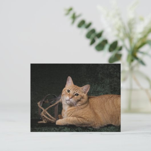 そり付きロキ ポストカード (スタンド正面)