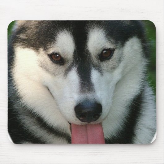 そり犬のマウスパッド マウスパッド (正面)