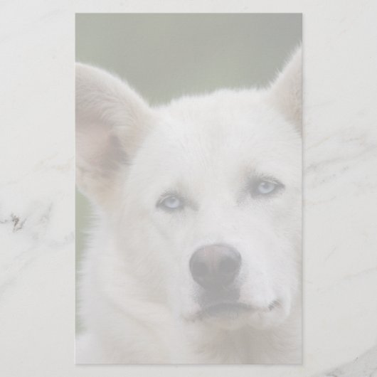 そり犬 便箋 (正面)