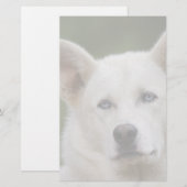 そり犬 便箋 (正面/裏面)