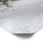 そり+乗る，雪，森，馬，冬，白，ギャロップ ポスター (コーナー)