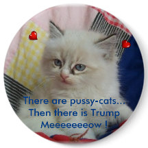 それから切札があります