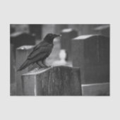 それがいつも雨が降ることができないFalln 薄葉紙 (正面)