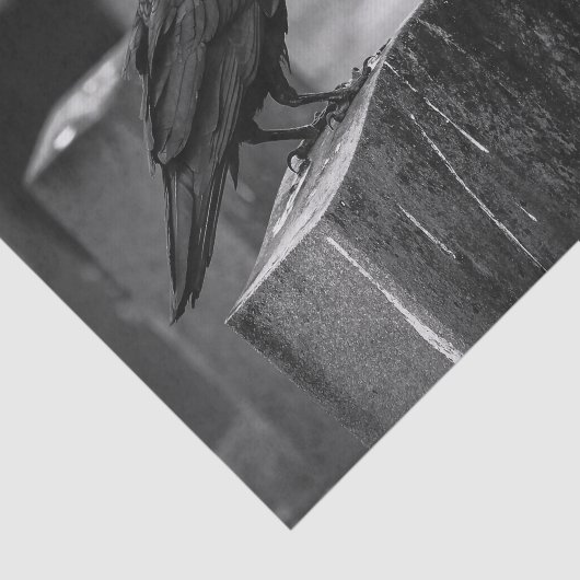 それがいつも雨が降ることができないFalln 薄葉紙 (詳細)