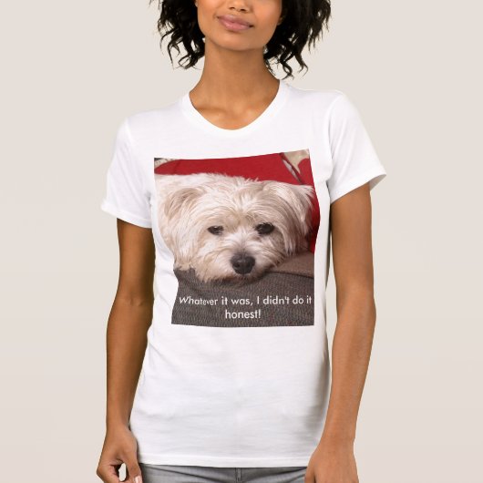 それがだったものは何でも_MG_3718の、私は正直なそれをしませんでした! Tシャツ (正面)