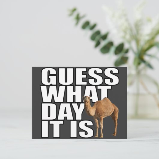 それがハンプ・デイ・ラクダである日を推測する ポストカード (スタンド正面)