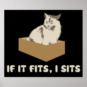 それが合えば、Iは猫を坐らせます ポスター
