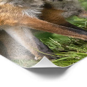 それが私のパパ フォトプリント            (角)